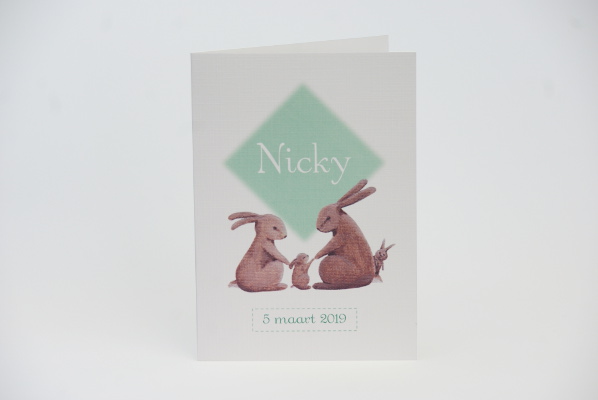 geboortekaartje nicky lichtgroen